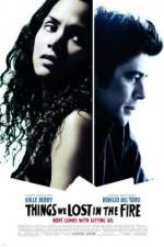 Watch Things We Lost in the Fire 123movies
