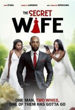 Watch The Secret Wife 123movies