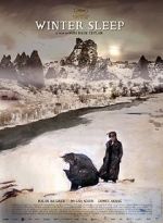 Watch Somn de iarnã 123movies