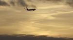Watch The Man Who Fell from the Sky 123movies