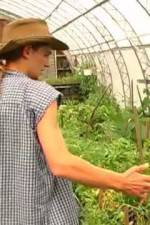 Green House Seeds Strain Hunters India Expedition