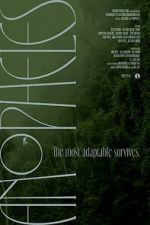 Watch Anopheles 123movies