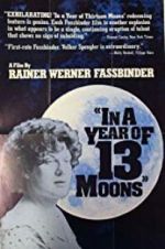Watch In a Year with 13 Moons 123movies
