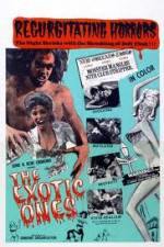 Watch The Exotic Ones 123movies