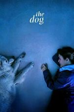 Watch The Dog 123movies