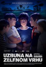 Watch The Mystery of Green Hill 123movies