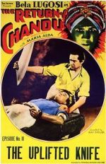 Watch The Return of Chandu 123movies