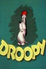 Homesteader Droopy