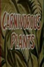 Carnivorous Plants