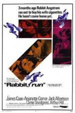 Rabbit Run