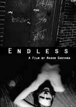 Watch The Endless 123movies