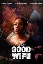 Watch The Good Wife 123movies