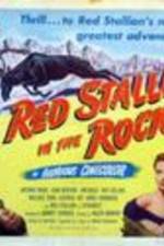 Red Stallion in the Rockies