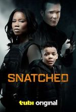 Watch Snatched 123movies