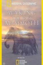 Waking the Baby Mammoth