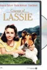 Courage of Lassie