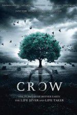 Crow