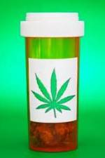 Watch Medicinal Cannabis and its Impact on Human Health 123movies