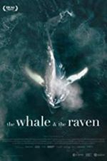 Watch The Whale and the Raven 123movies