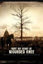 Bury My Heart at Wounded Knee