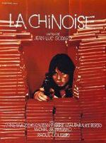 Watch The Chinese 123movies