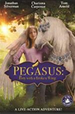 Watch Pony with a Broken Wing 123movies