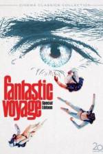 Fantastic Voyage