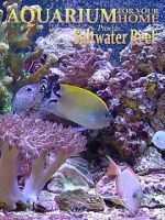 Watch Aquarium for Your Home: Saltwater Reef 123movies