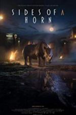 Watch Sides of a Horn 123movies