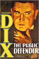 Watch The Public Defender 123movies