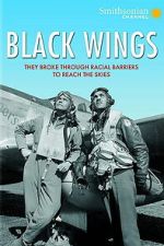Watch Black Wings 123movies