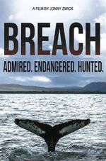 Breach