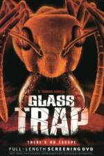 Glass Trap