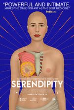 Watch Serendipity 123movies