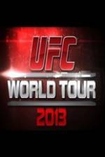 UFC World Tour 2013