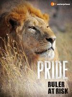 Pride - Ruler\'s at Risk