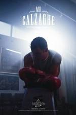 Mr Calzaghe