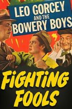 Watch Fighting Fools 123movies