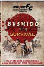 Pride Bushido 11