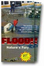 Watch Flood 123movies