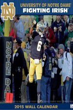 Watch The Fighting Irish 123movies
