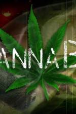 CannaBiz