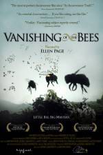 Vanishing of the Bees