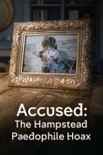 Watch Accused: The Hampstead Paedophile Hoax 123movies
