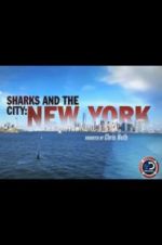 Sharks and the City: New York