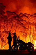 Watch Fire Fight Australia 123movies