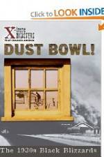 Dust Bowl!: The 1930s Black Blizzards