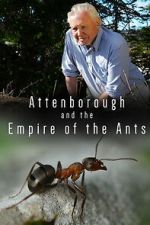 Watch Attenborough and the Empire of the Ants 123movies