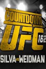 Countdown To UFC 162