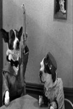 Watch The Two Barks Brothers 123movies
